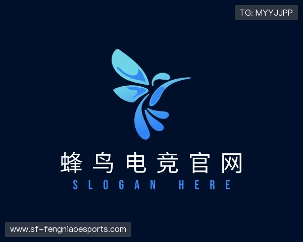 关于蜂鸟电竞